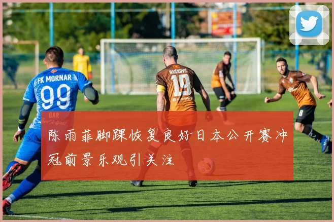陈雨菲脚踝恢复良好日本公开赛冲冠前景乐观引关注